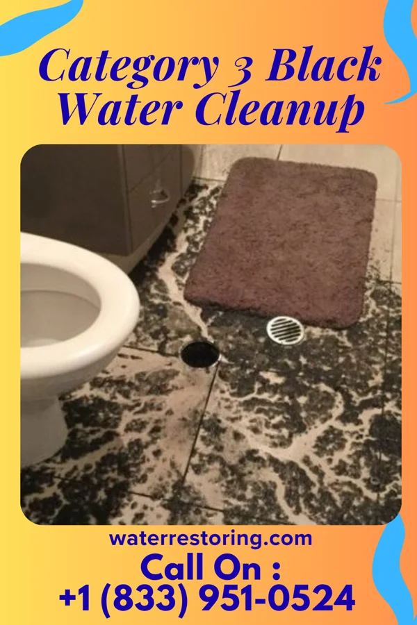 Category 3 Black Water Cleanup in Unionville Center, OH