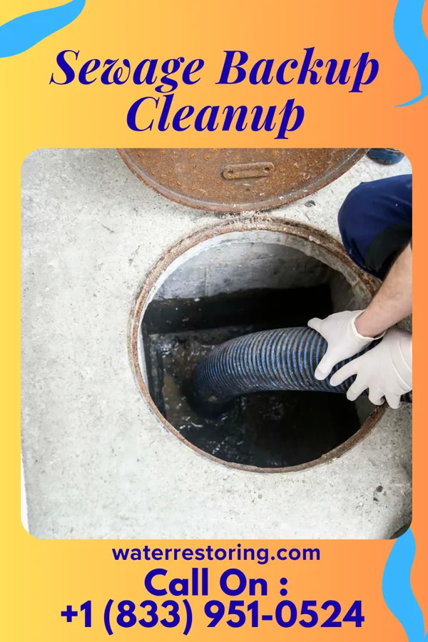 Sewage Backup Cleanup in Unionville Center, OH