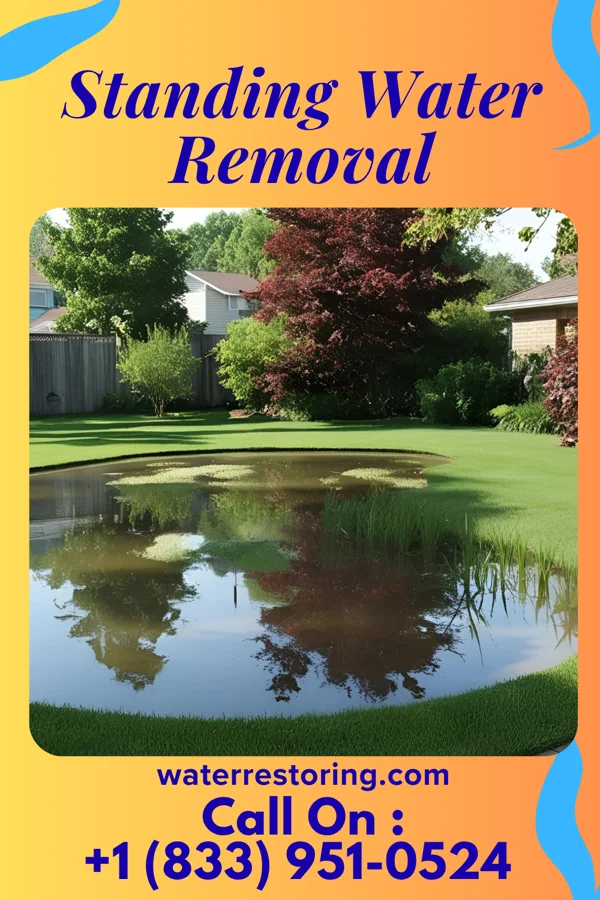 Standing Water Removal in Unionville Center, OH